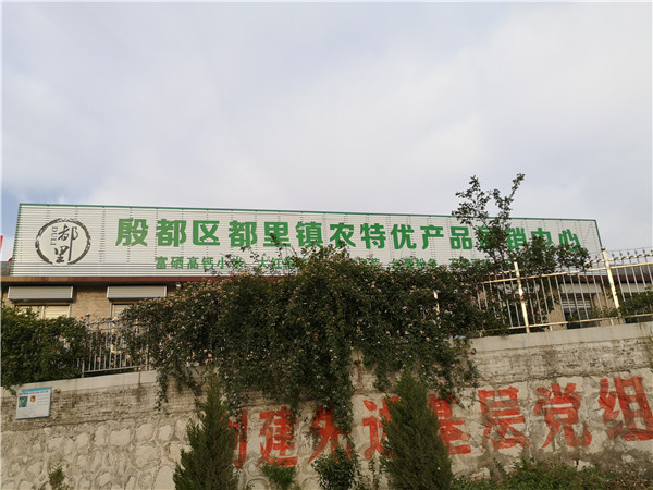 微信图片_20190524150819